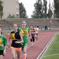 IMG 3710